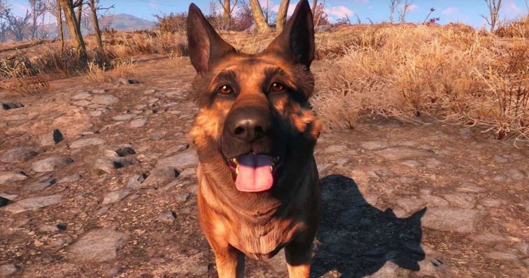 dogmeat